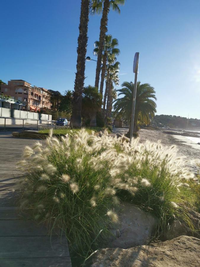 Ofdl B T1 Bandol - Briotine Foyalais Exterior foto